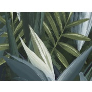 Thumb_22480