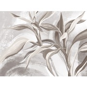 Thumb_25695o