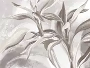 Thumb_25695o
