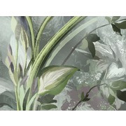 Thumb_25697o