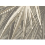 Thumb_25703o
