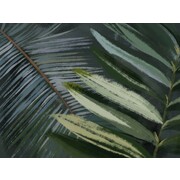 Thumb_25704o