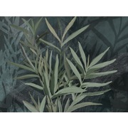 Thumb_25706o