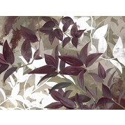 Thumb_25710o