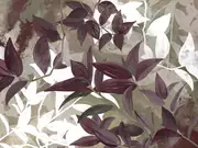 Thumb_25710o