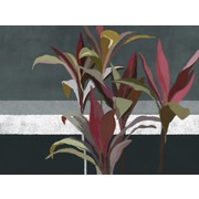 Thumb_25714o