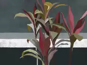 Thumb_25714o
