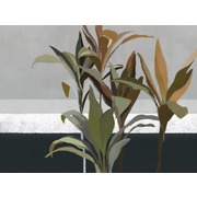 Thumb_25715o