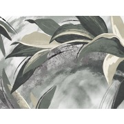 Thumb_25716o