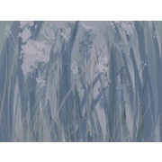 Thumb_30117