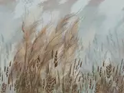 Thumb_30121
