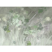 Thumb_30127