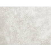 Thumb_30712