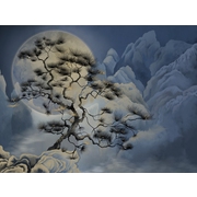 Thumb_28059