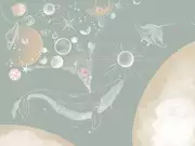 Thumb_25615