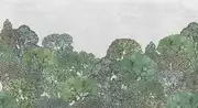 Thumb_21773