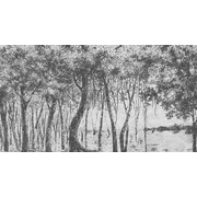 Thumb_21786