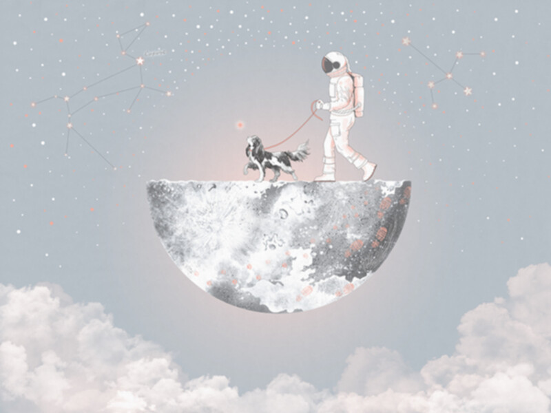 Big_30814_cosmos_25_14