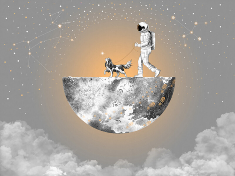 Big_30815_cosmos_25_15