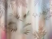 Thumb_26020