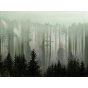 Thumb_26024