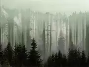 Thumb_26024