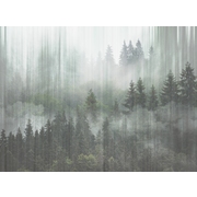 Thumb_26027_