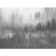 Thumb_26028