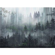 Thumb_26030