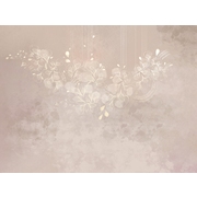 Thumb_28101