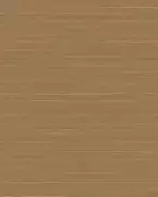 Thumb_pre_ins9_004_1