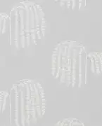 Thumb_pre_ac2f8ba192e98b20e5acf7b417e04baa