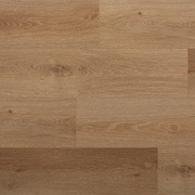 Thumb_9fc1bdebd286ed37e10591aefda6ebdb