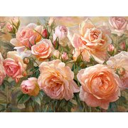 Thumb_af502_col1