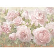 Thumb_af502_col2