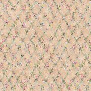 Thumb_af512_col2