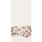 Thumb_ofa1048_col5