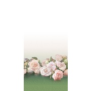 Thumb_ofa1048_col6