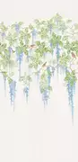 Thumb_ofa1053_col1