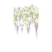 Thumb_ofa1053_col2