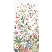 Thumb_ofa1056_col3