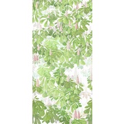 Thumb_ofa1117_col6
