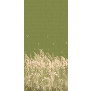 Thumb_ofa1120_col5
