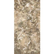 Thumb_ofa1127_col2