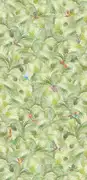Thumb_ofa1132_col1