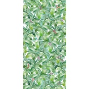 Thumb_ofa1132_col2