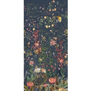 Thumb_ofa1300_col1