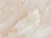 Thumb_af2101_col1