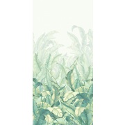 Thumb_ofa1956_col1