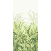 Thumb_ofa1956_col2